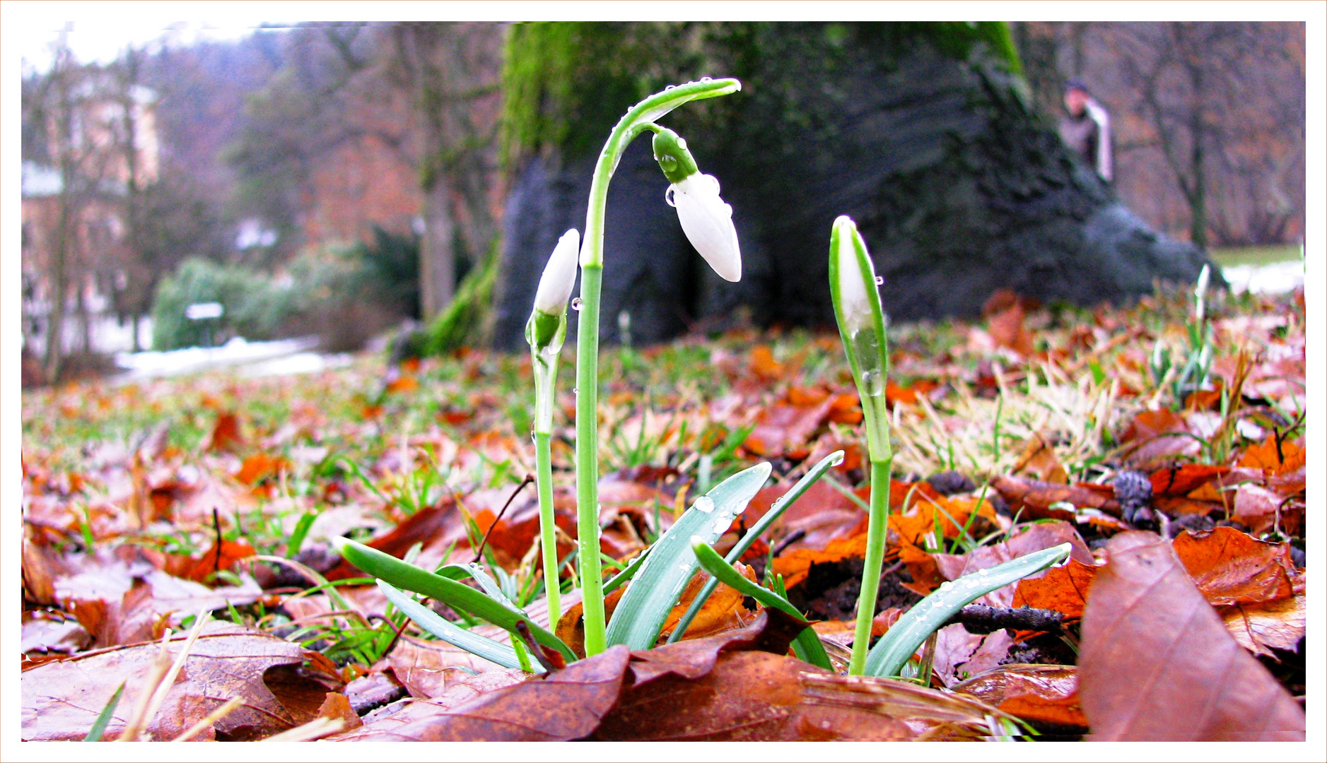 Kommt der Frühling?