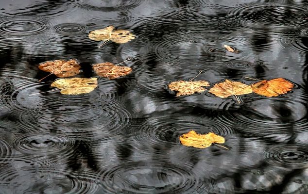 Kommt der goldene Oktober noch...