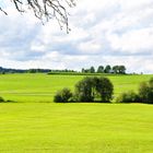 Kommt der Sommer zurück ?