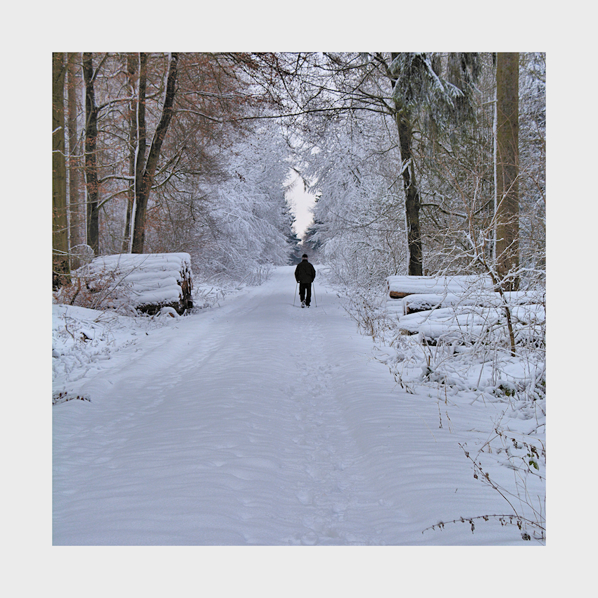 kommt der Winter wieder zurück?