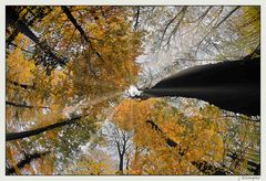 - kommt die Sonne durch? -