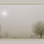 Kommt die Sonne noch ganz raus???