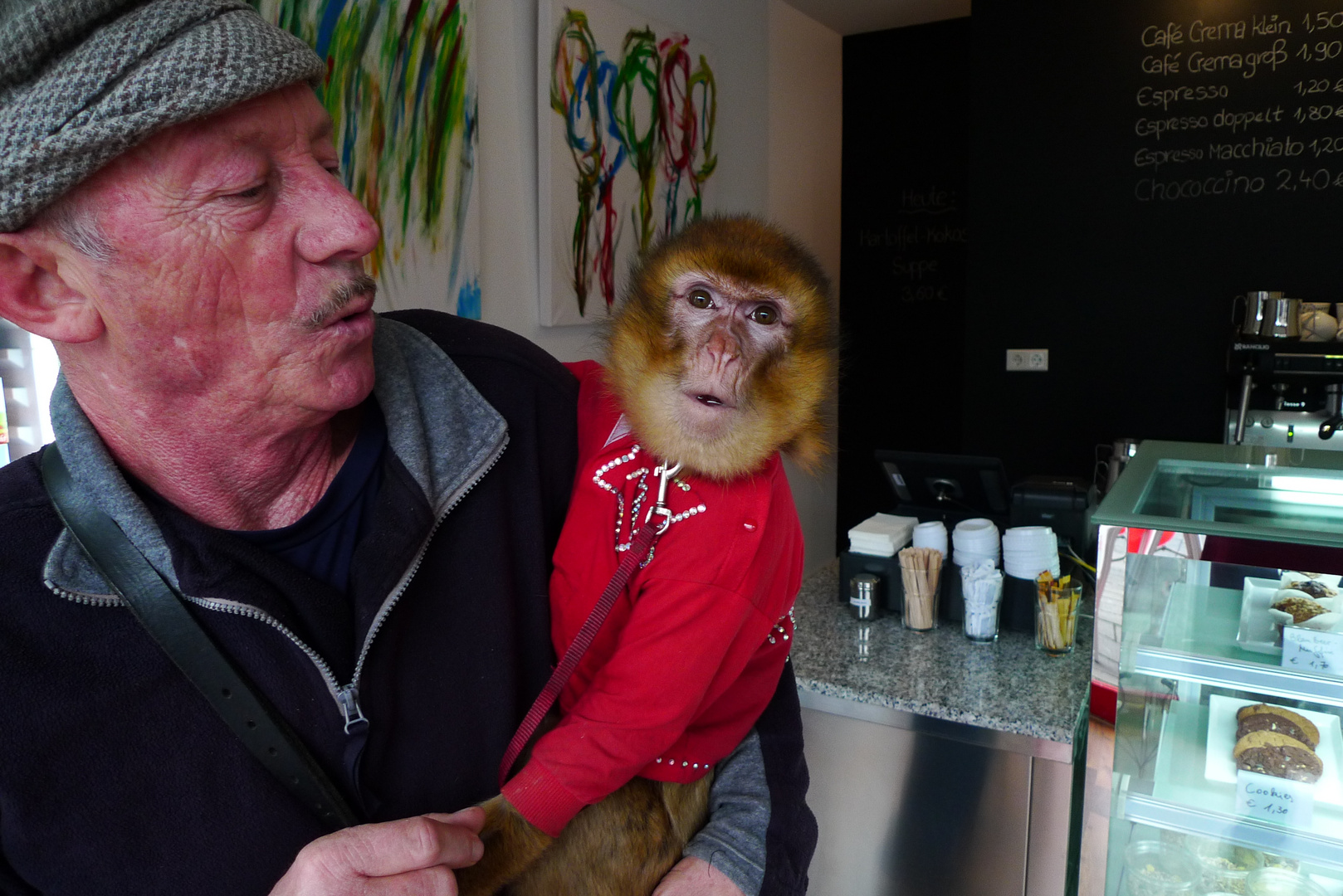 kommt ein Affe in eine Café-Bar ...