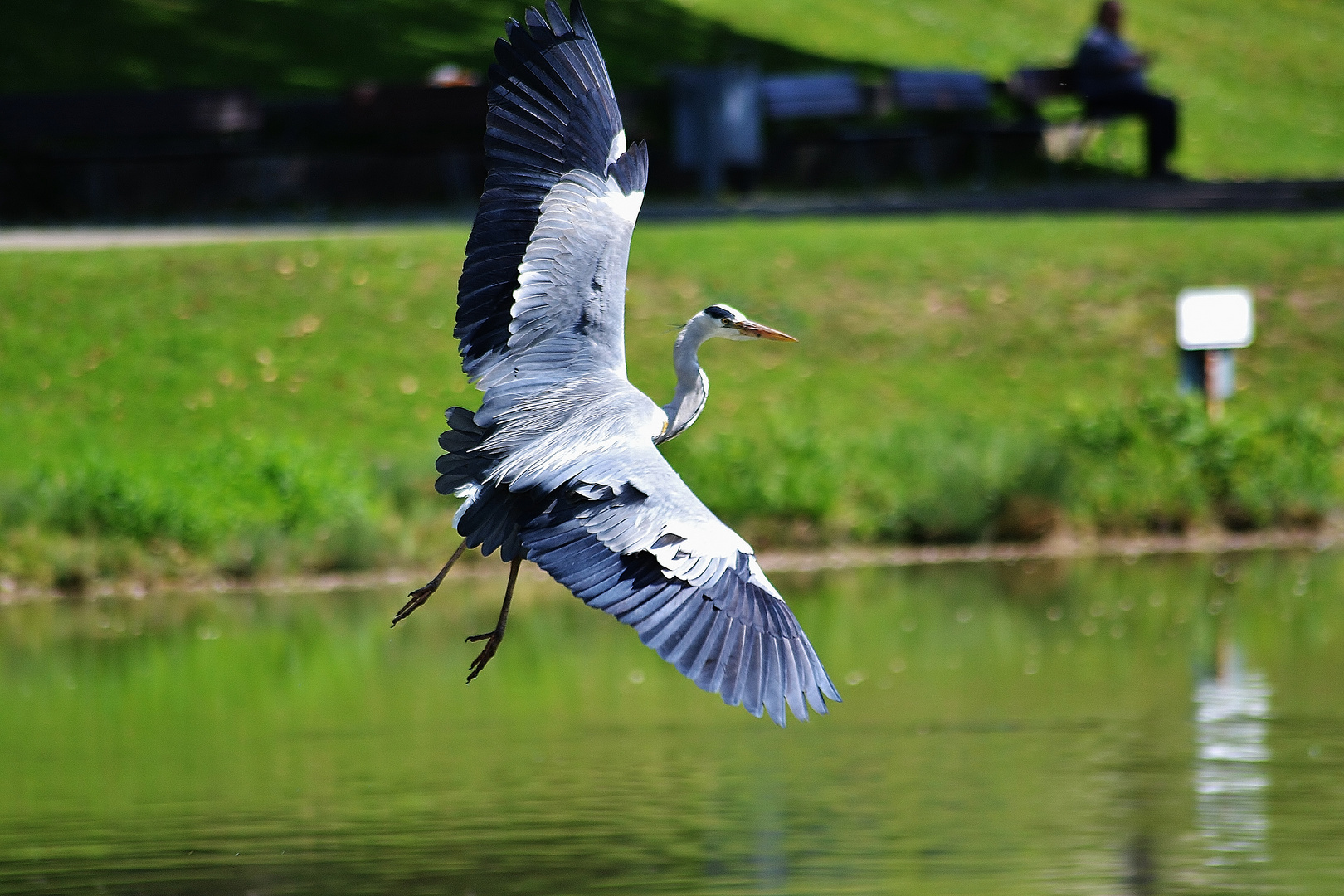 kommt ein Vogel geflogen 1