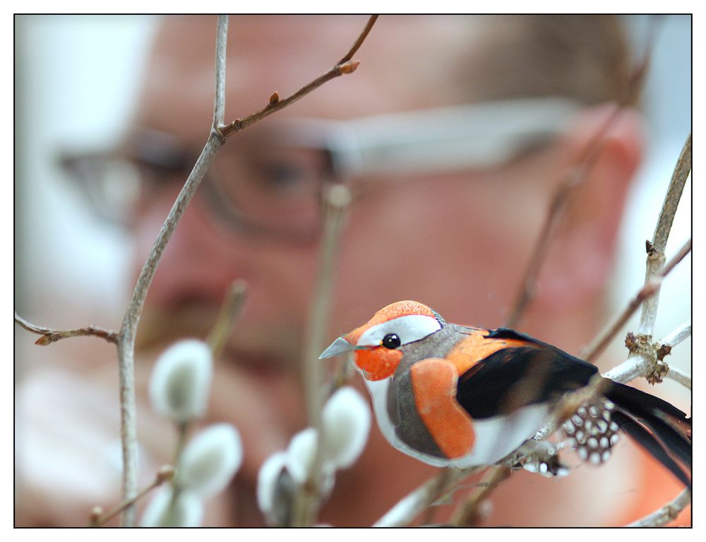 Kommt ein Vogel geflogen! 