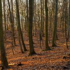 Kommt er bald der Frühling oder ist es noch zu früh