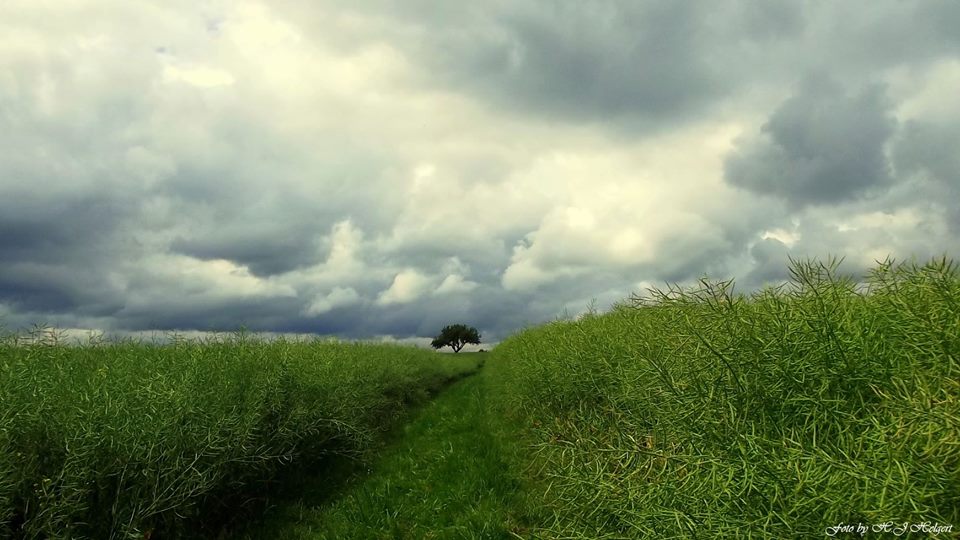 Kommt er nun,der lang erwartete Regen ???