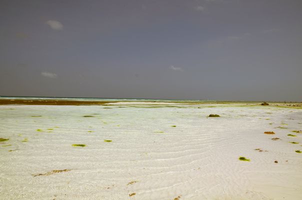 kommt es oder geht es gerade?