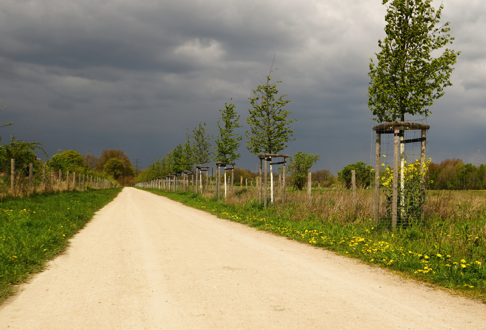 Kommt gleich Regen