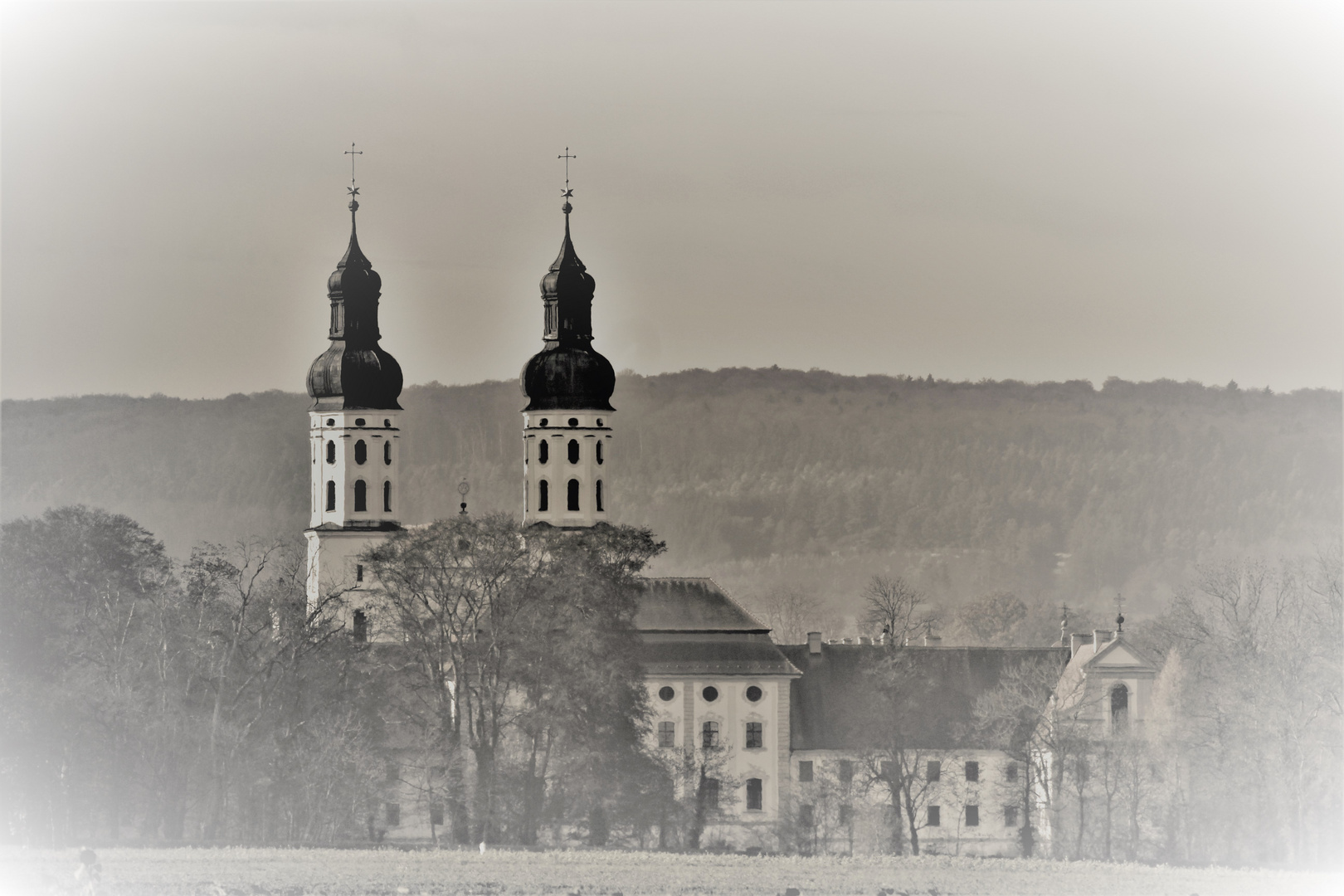 KOmmt gut durch die Woche, trotz Nebel und wenig Sonne