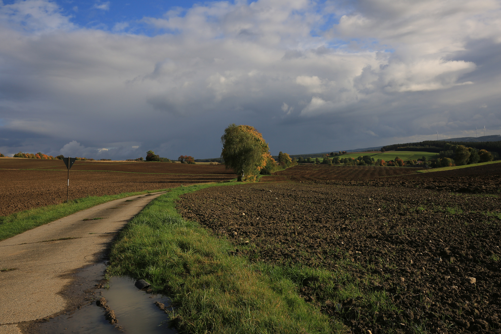 Kommt lasst uns wandern...