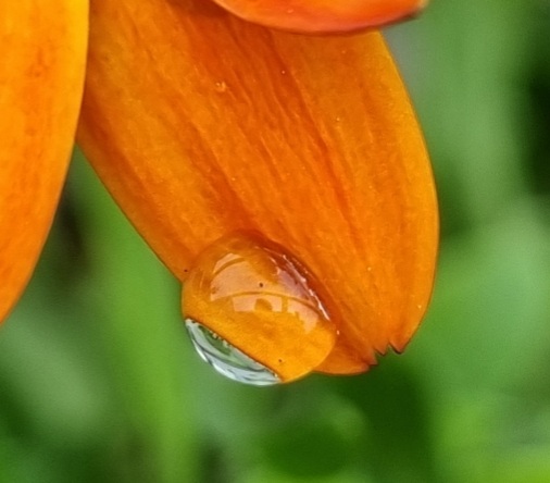 Kommt Regen