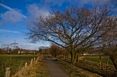 Kommt schon der Frühling...?