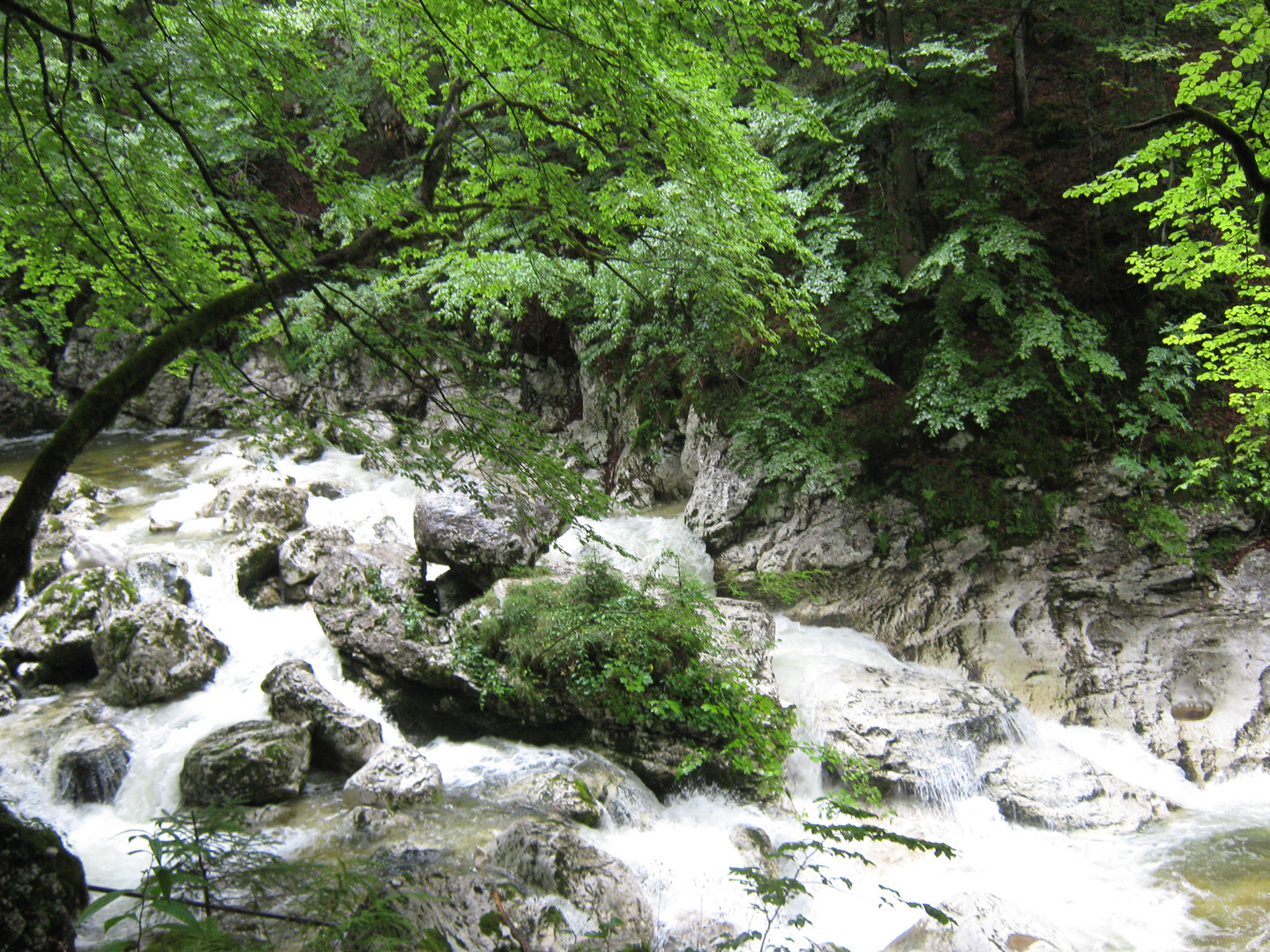 Kommt vom Wasserfall