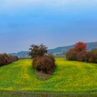 kommt wieder - Herbst