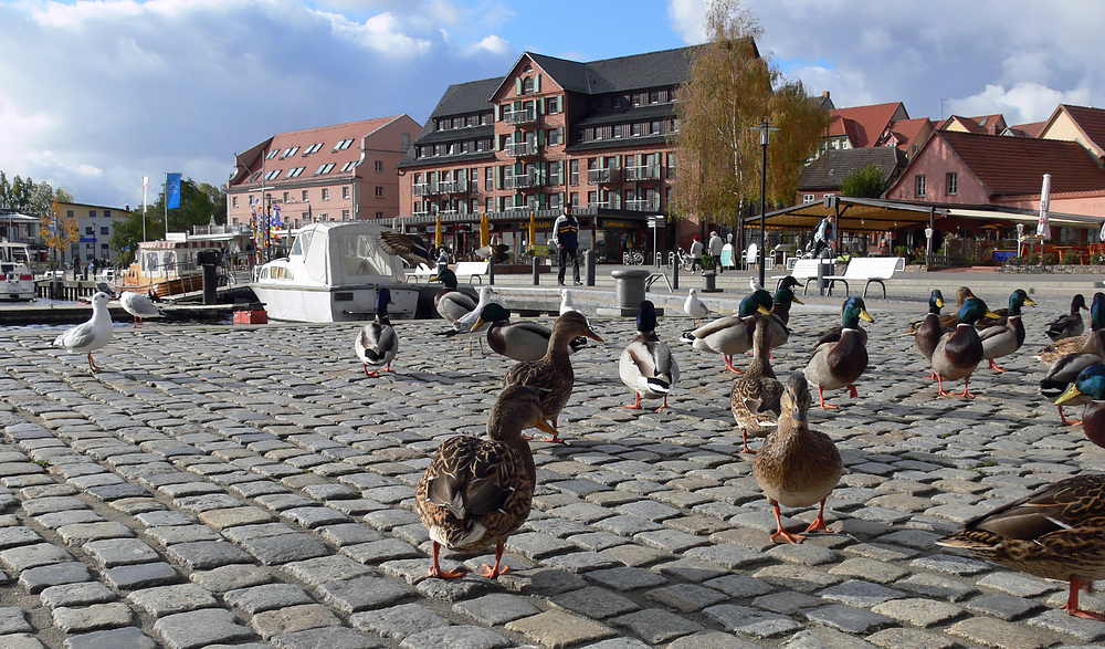 "Kommt wir gehen in die Stadt ... Shoppen..."