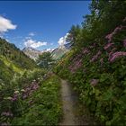 kommt`s mit auf dem Muhs Panoramaweg