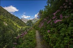 kommt`s mit auf dem Muhs Panoramaweg