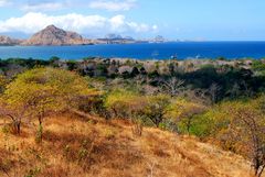 Komodo Island