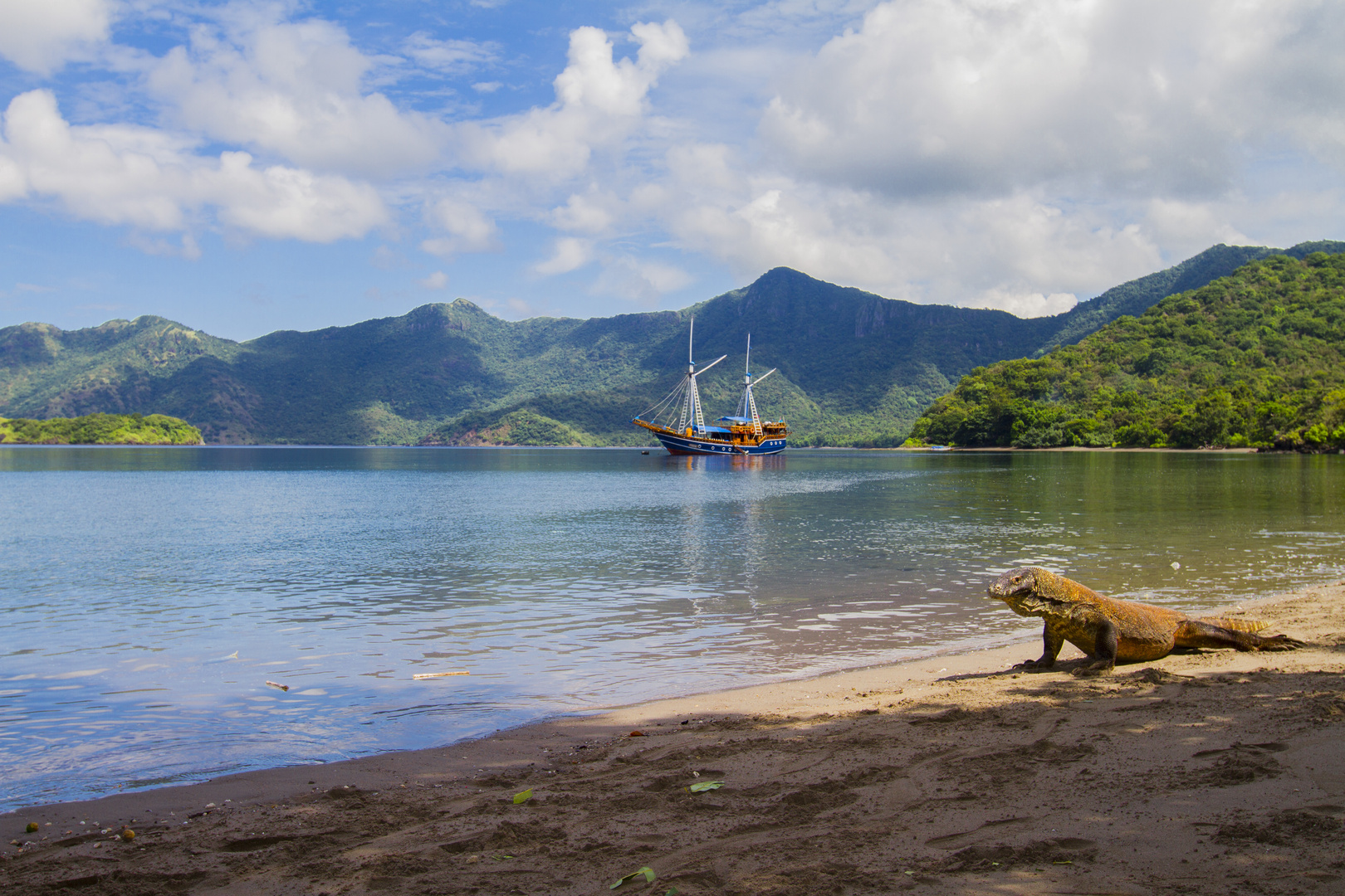 ~ Komodowaran auf der Insel RINCA im KOMODO NATIONALPARK ~