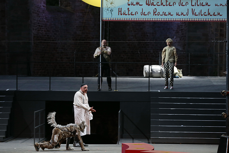 Komödie der Irrungen - Bad Hersfelder Festspiele 2015 9290