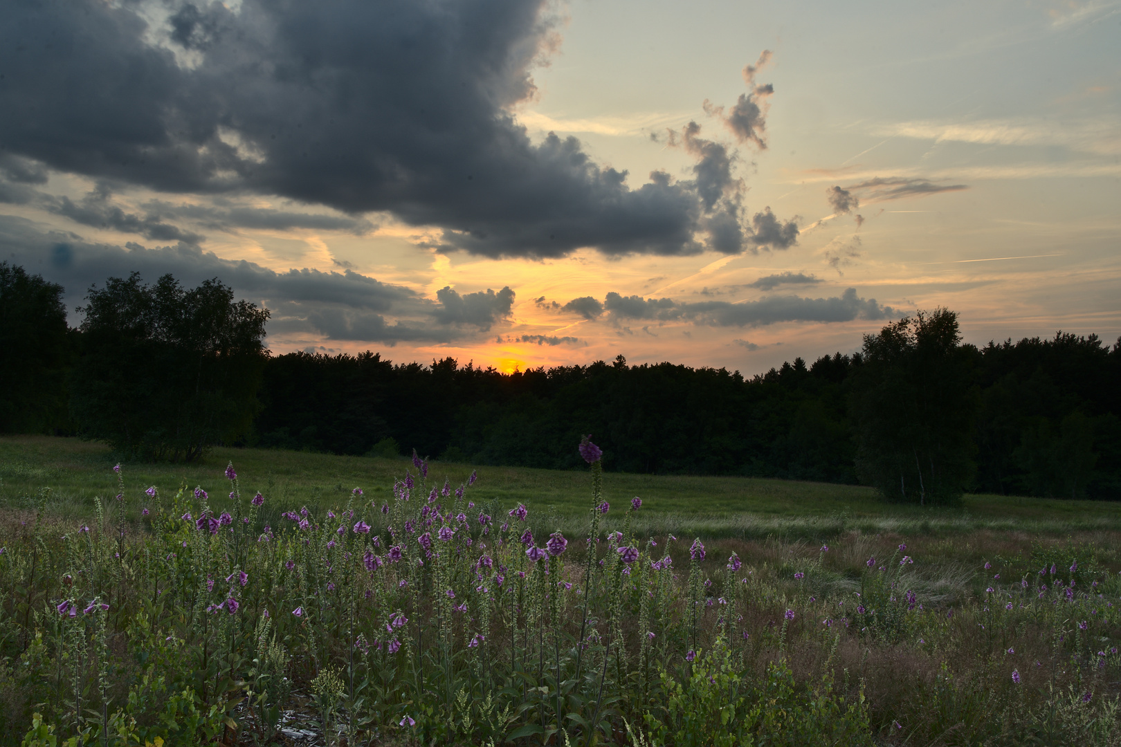 Komper Heide am Abend