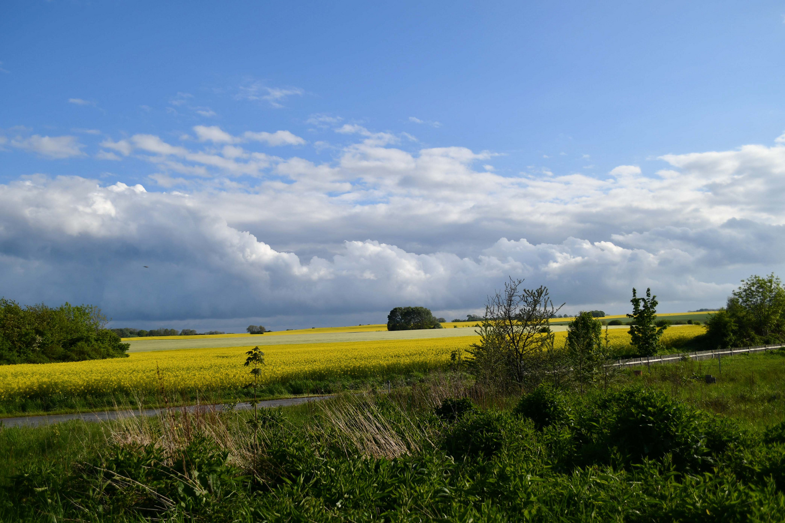 Komplementärfarben wie sie der Fotograf und Maler lieben..hier auf der Insel Rügen.