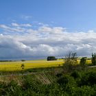 Komplementärfarben wie sie der Fotograf und Maler lieben..hier auf der Insel Rügen.