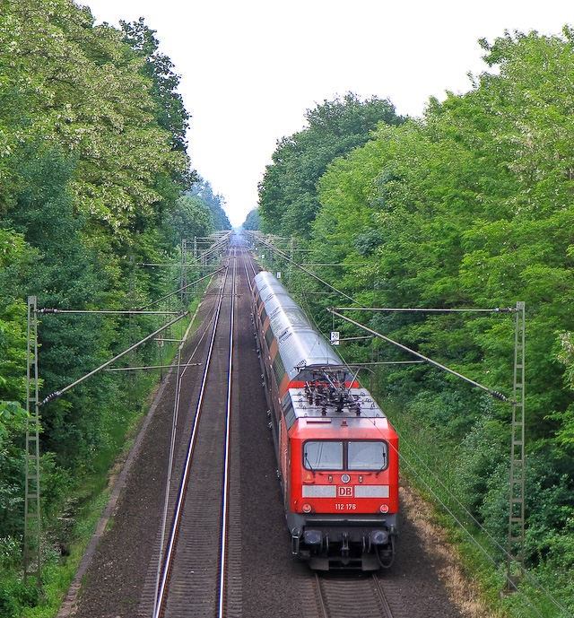 Komplett zugewachsen