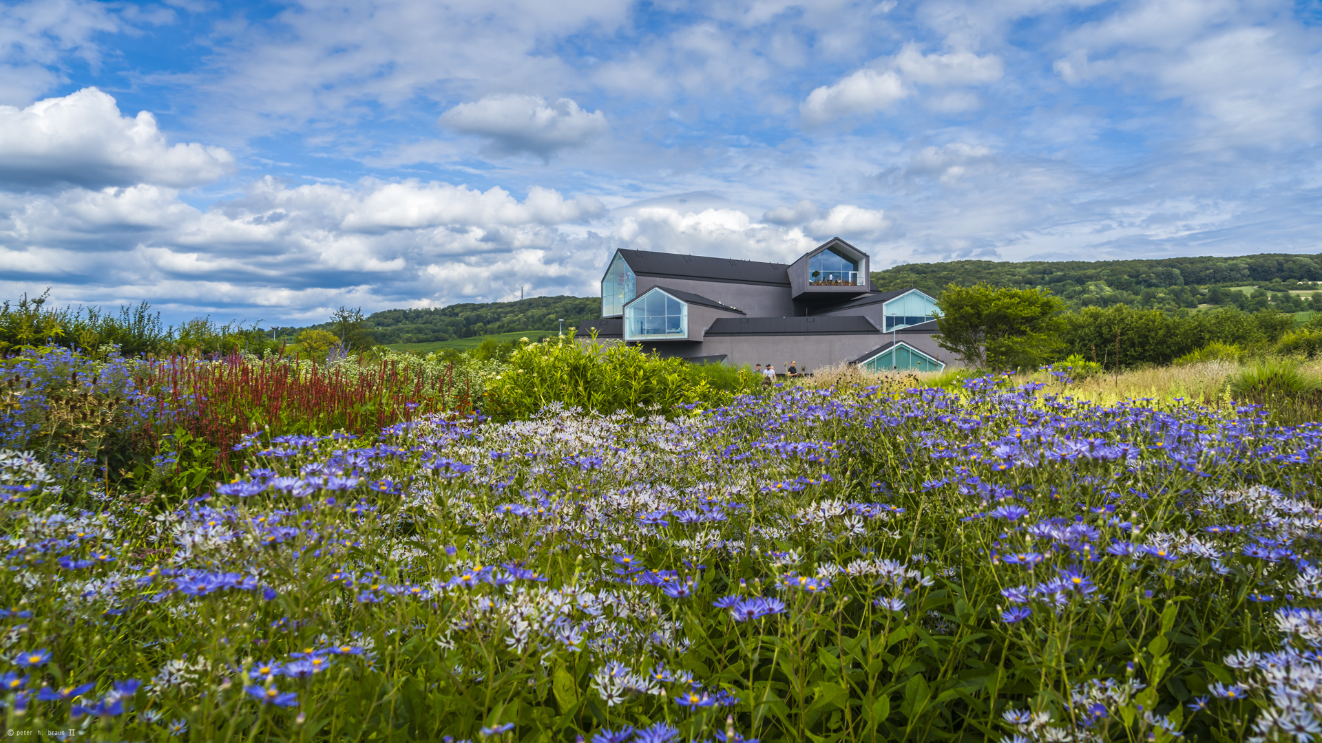 Komponierte Wildnis mit wilder Architektur