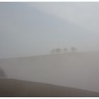 Komposition im Nebel verschwindend... - Vorfrühlingsdunst...