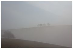 Komposition im Nebel verschwindend... - Vorfrühlingsdunst...