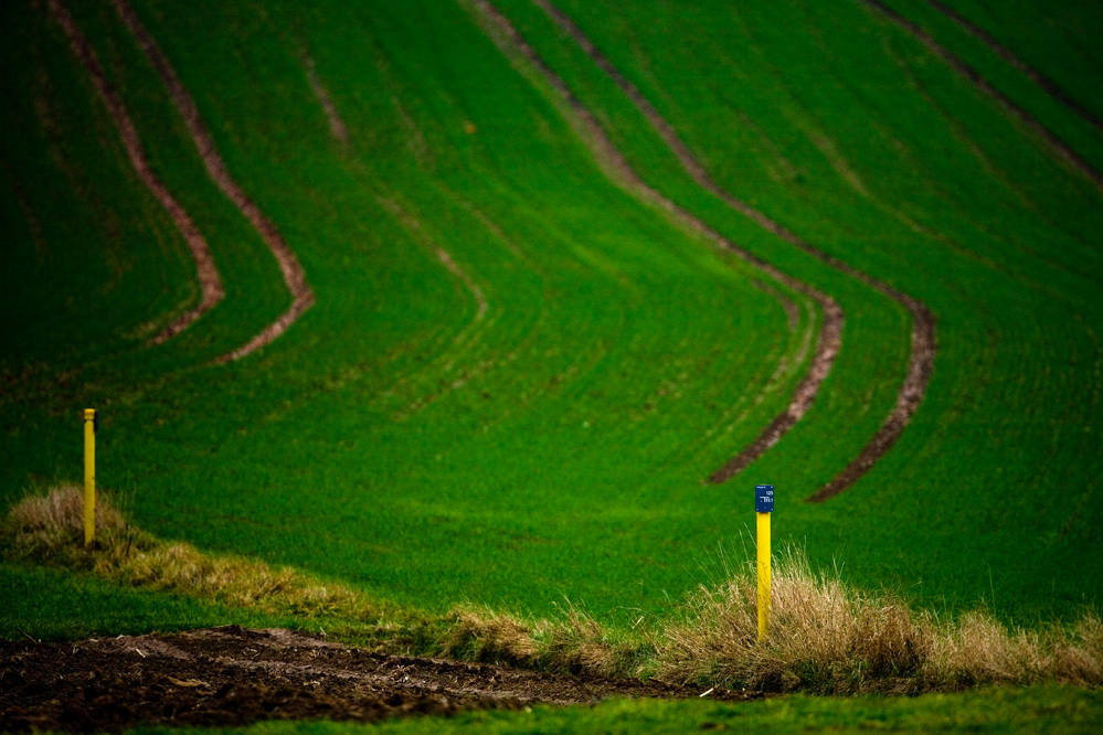 Komposition in Blau Gelb und Grün