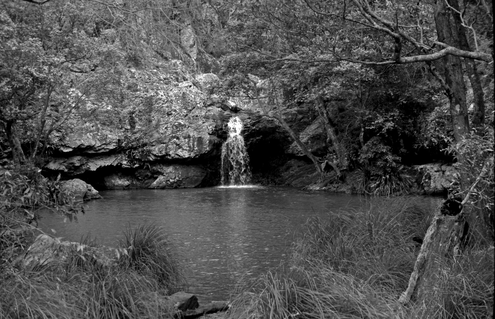 Kondalilla Falls