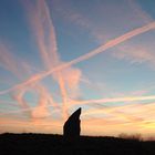 Kondensstreifen im Abendrot