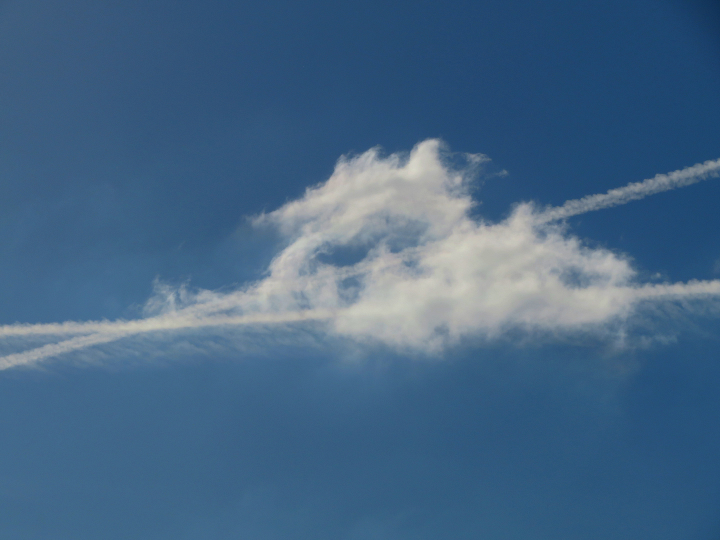 Kondensstreifen trifft Wolke ...