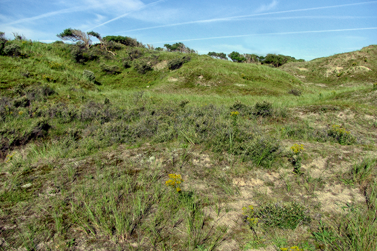  kondensstreifen über dünen / contrails over dunes / 2015-21