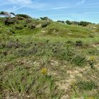  kondensstreifen über dünen / contrails over dunes / 2015-21