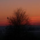 Kondenstreifen in Abendrot