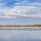 Konferenz am Wasser