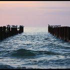 Konferenzsitzung an der Ostsee