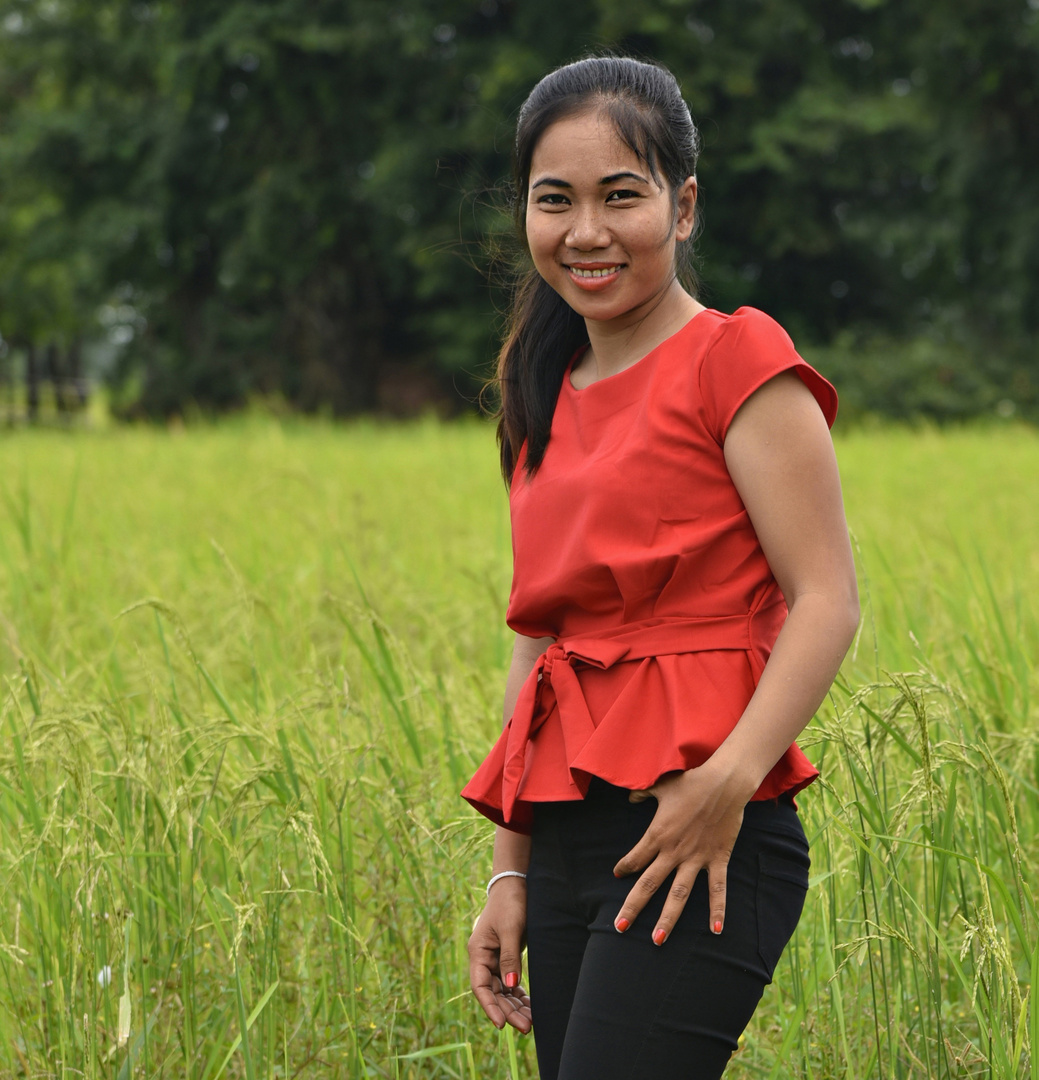 Kong Kea in the rice paddy 01