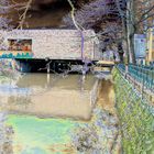 Kongresshalle und Hochwasser an der Wieseck in Gießen