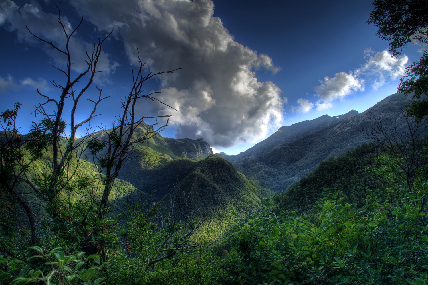 Kong`s Kingdom: Skull Island