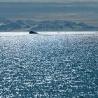 Kongsfjord, Spitzbergen