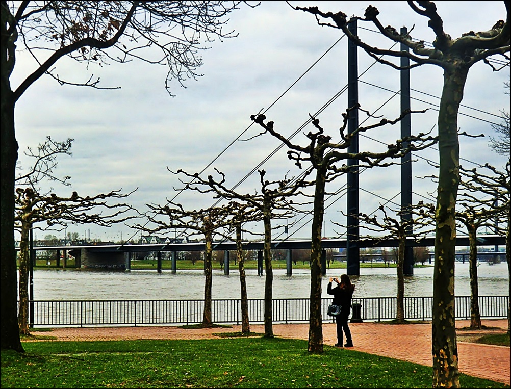 Konkurrenz am Rhein