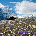 Konkurrenz in blau-weiss