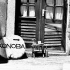 Konoba