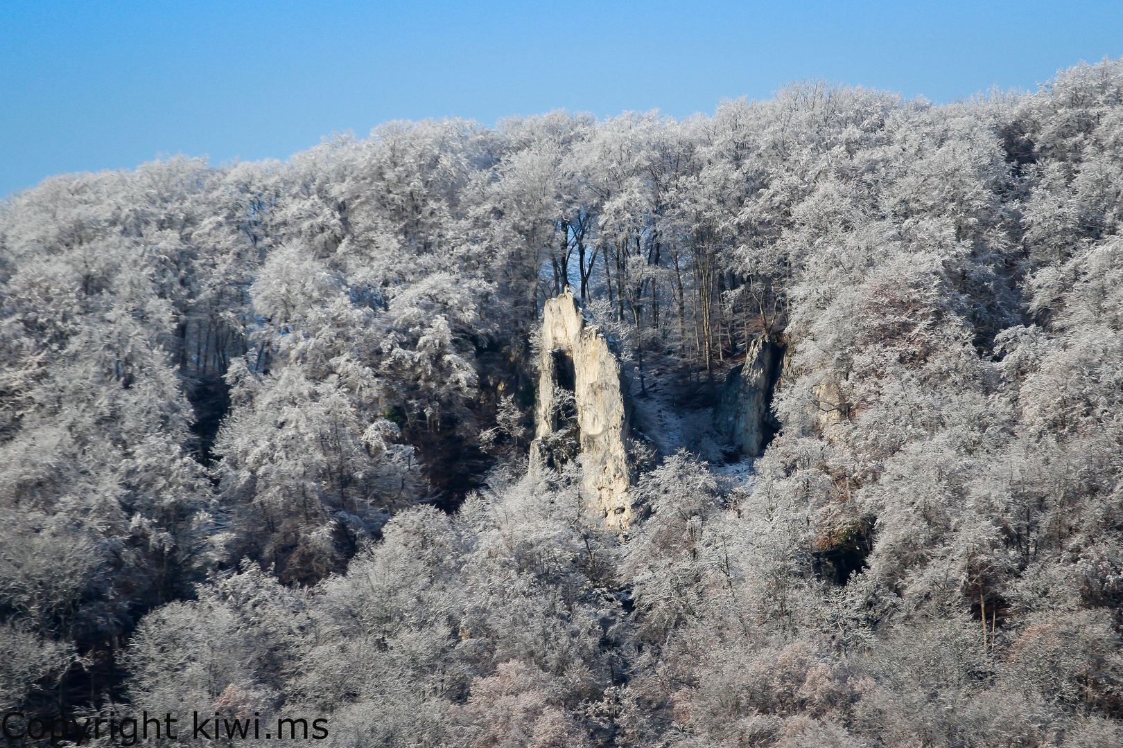 Konradfels im Winterkleid