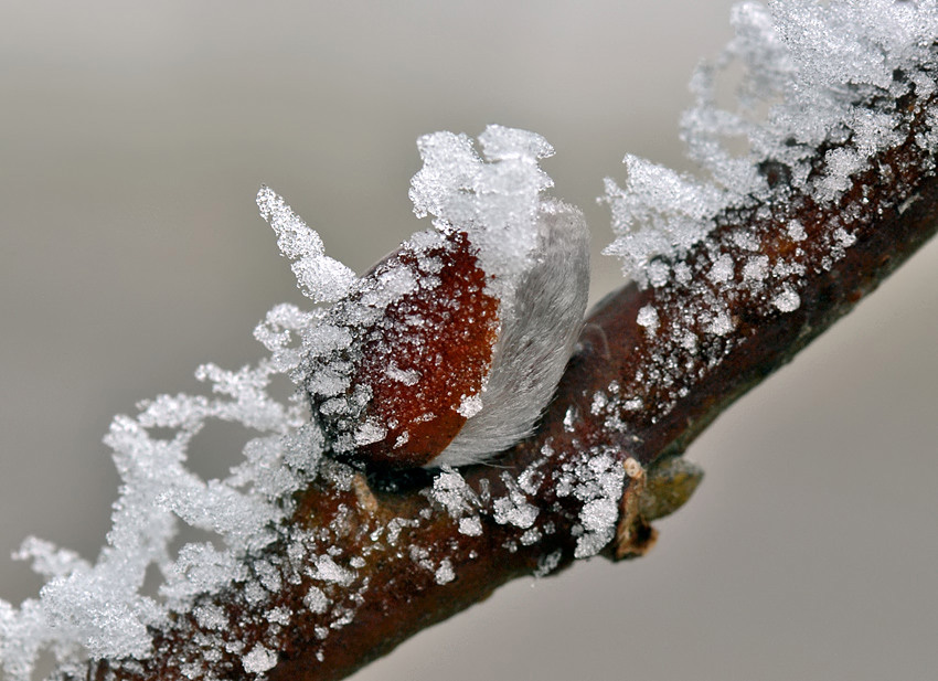 Konspe im Winter